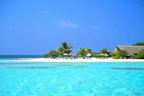 Pourquoi choisir un gite avec piscine pour vos prochaines vacances?